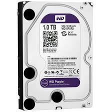 HD  HARD DISK 1TB  WD PURPLE WD10PURZ